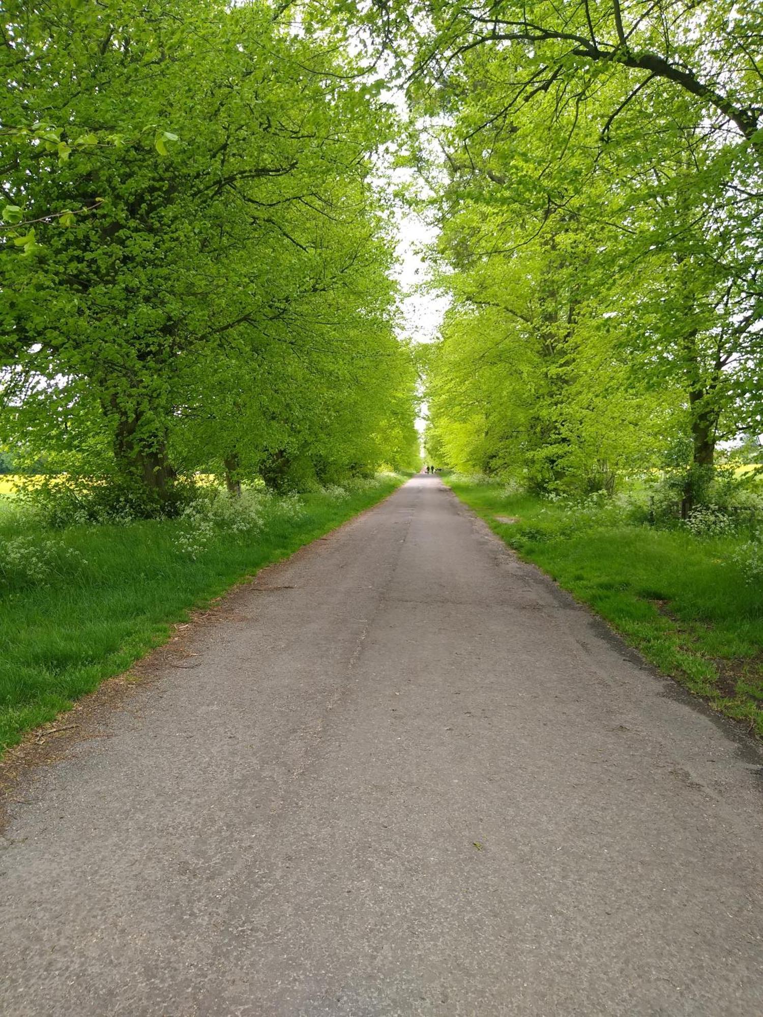 The Walled Garden Long Melford Εξωτερικό φωτογραφία